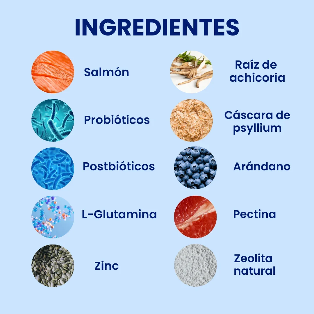 Probiótico para Perros de Biocenti