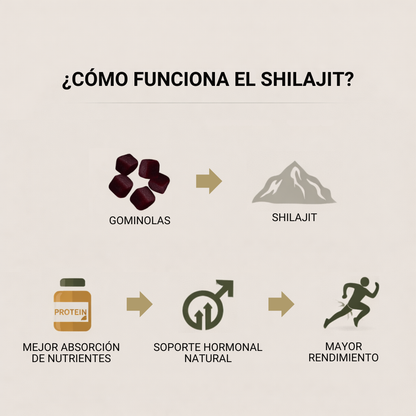 Biocenti | Gominolas de Shilajit Puro