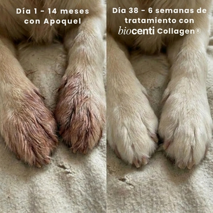 Colágeno Líquido Premium Para Mascotas de Biocenti