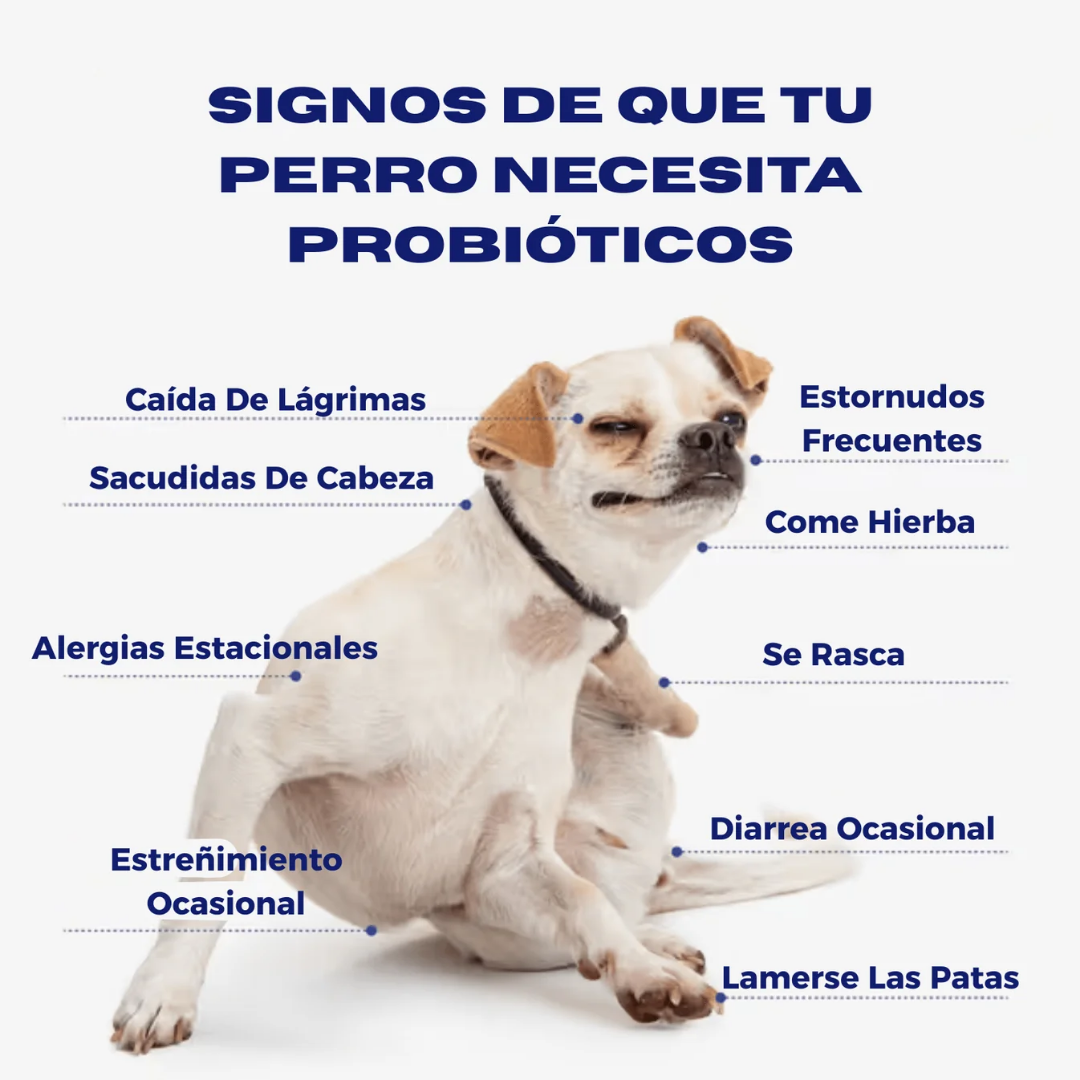 Probiótico para Perros de Biocenti