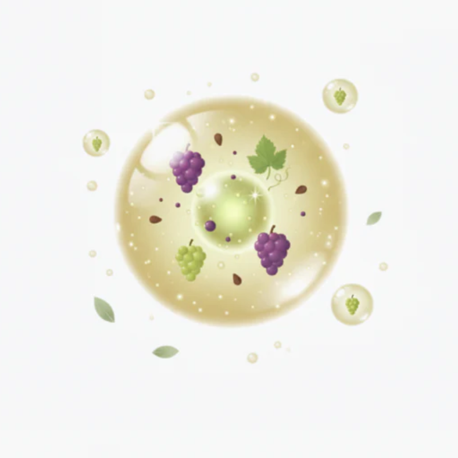 Ingrediente