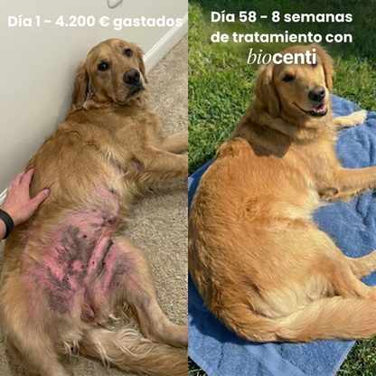 Colágeno Líquido Premium Para Mascotas de Biocenti