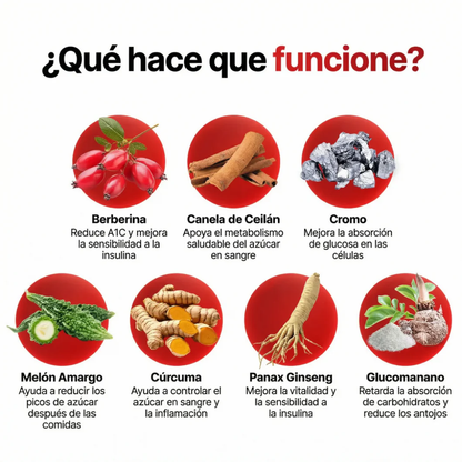 El regulador de azúcar en sangre más potente de la naturaleza de Biocenti