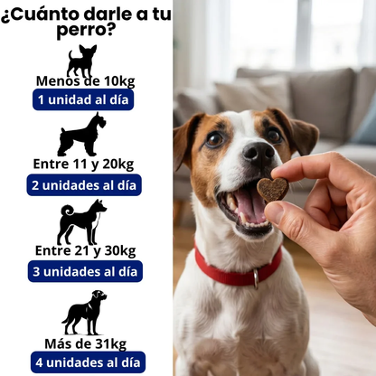 Probiótico para Perros de Biocenti