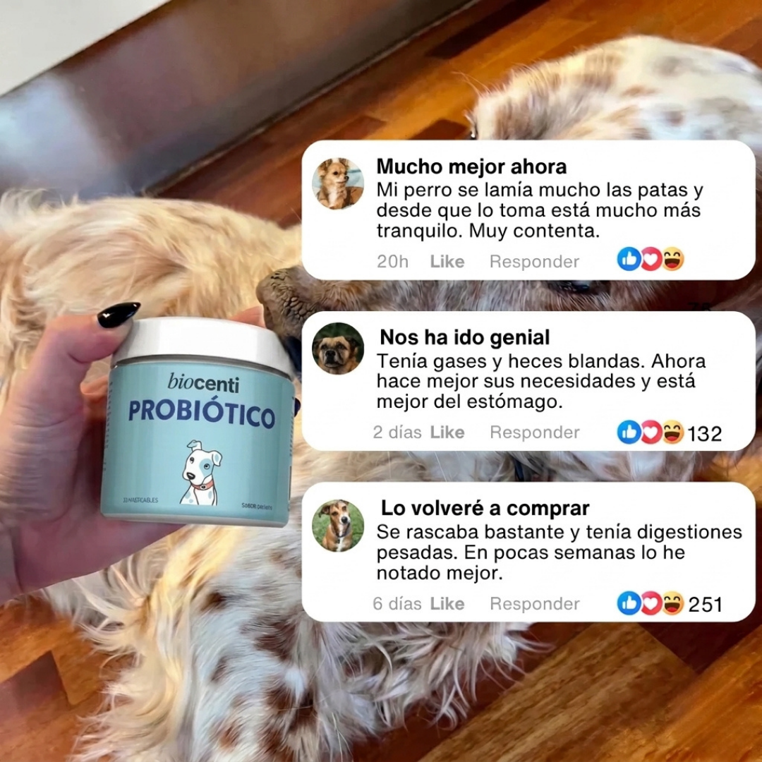 Probiótico para Perros de Biocenti