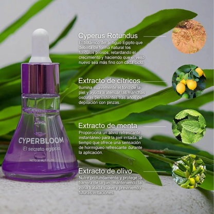 CyperBloom™ - Sérum Antivello con Cyperus Rotundus