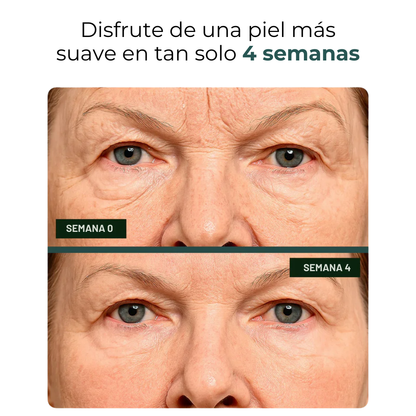 Parches de Belleza Nocturnos - Biocenti